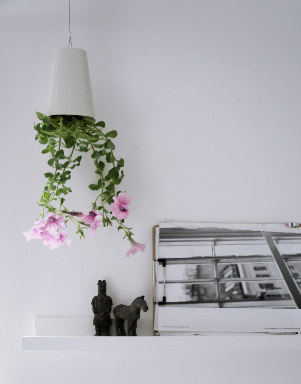 hanging planter with pink flowers
