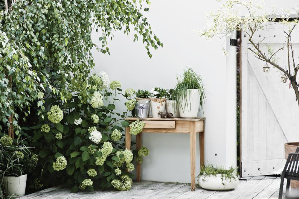 Polish-Farmhouse-White-Minimalist-Interior-Indoor-Plants-Scandinavian-Style