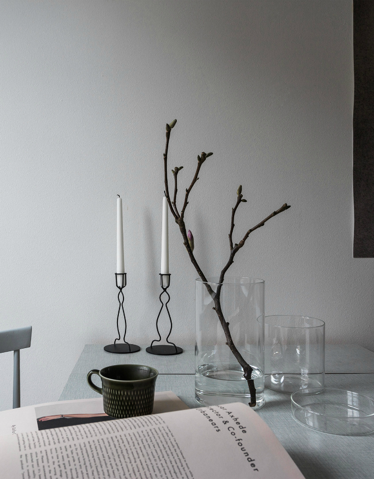 simple beauty a branch of magnolia by fantastic frank