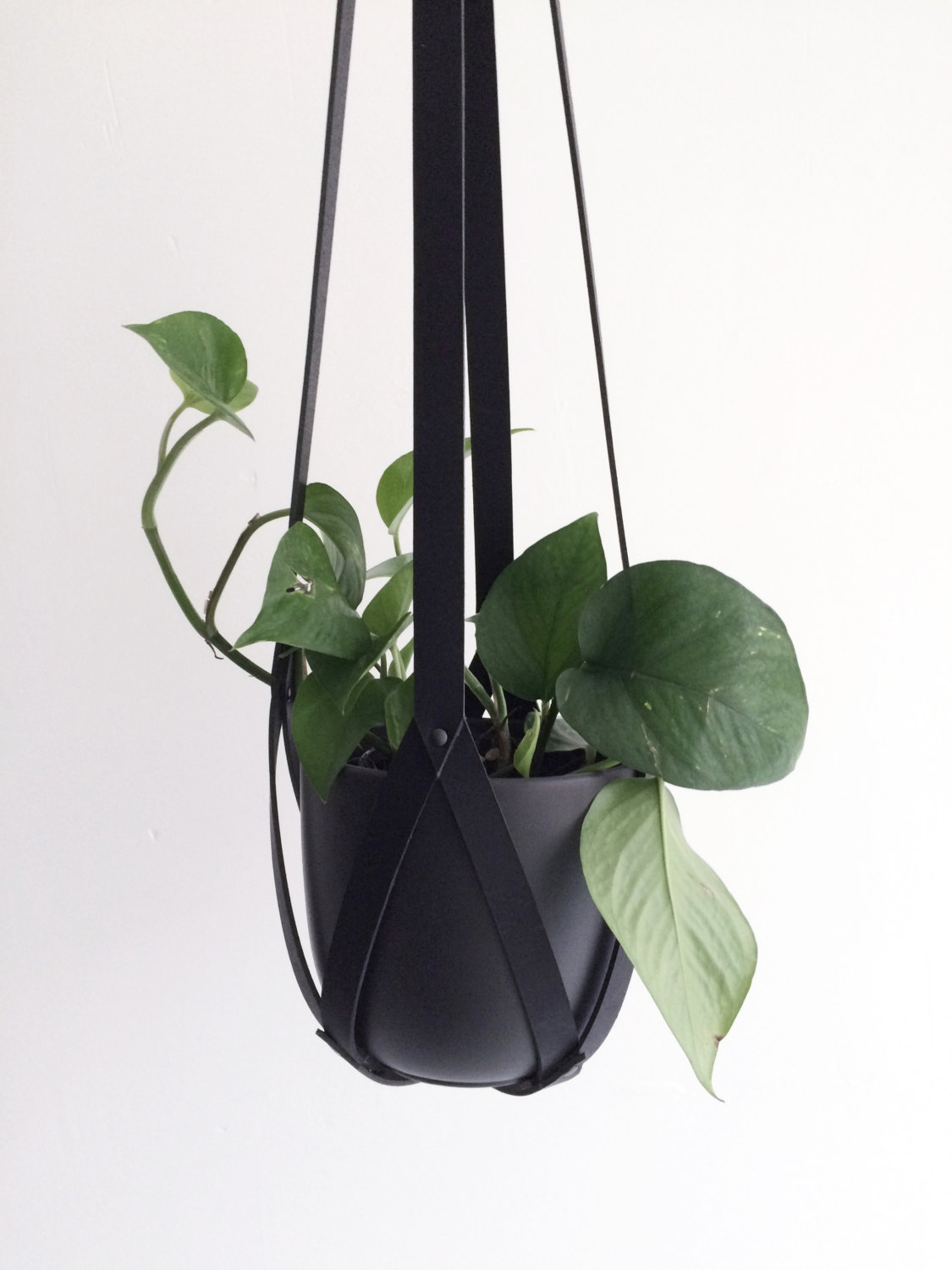 black leather hanging planter