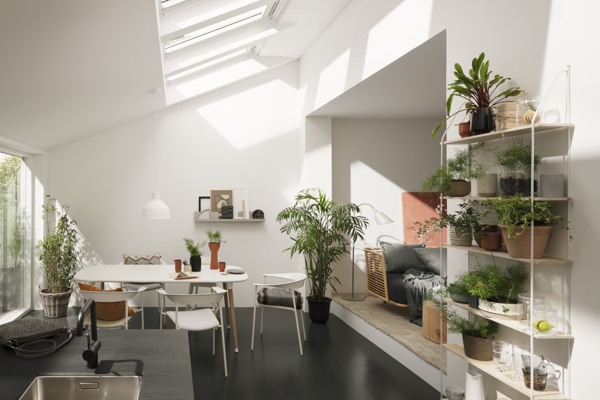 AD VELUX - Five Top Care Tips For Your Houseplants