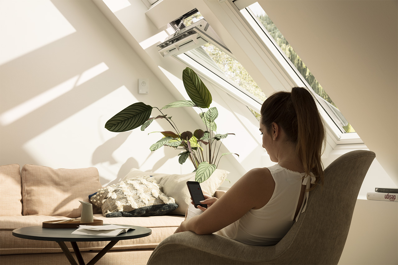 AD VELUX - Five Top Care Tips For Your Houseplants